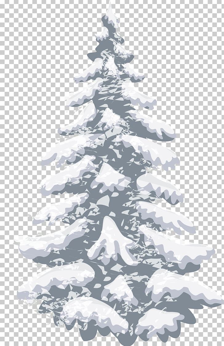 Pine Christmas Tree PNG, Clipart, Botany, Christmas, Christmas Decoration, Christmas Frame, Christmas Lights Free PNG Download