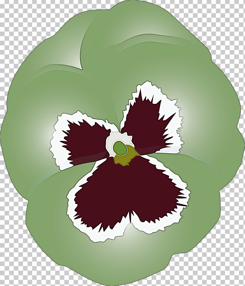 PANSY Spring Flower PNG, Clipart, Cattleya, Flower, Iris, Leaf, Pansy Free PNG Download