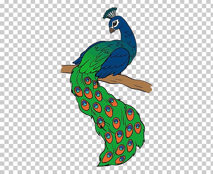 Drawing Peafowl Sketch PNG, Clipart, Art, Color, Colored Pencil, Coloring Book, Drawing Free PNG Download