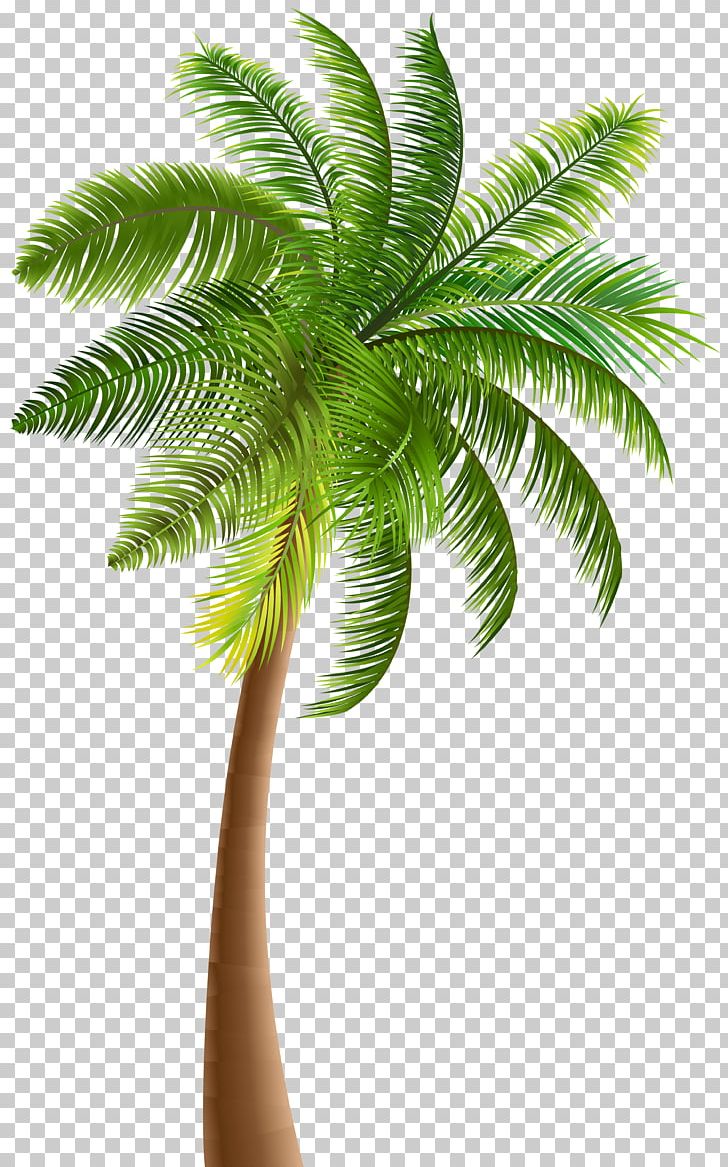 Palm Trees PNG, Clipart, Arecaceae, Arecales, Blog, Clipart, Clip Art Free PNG Download