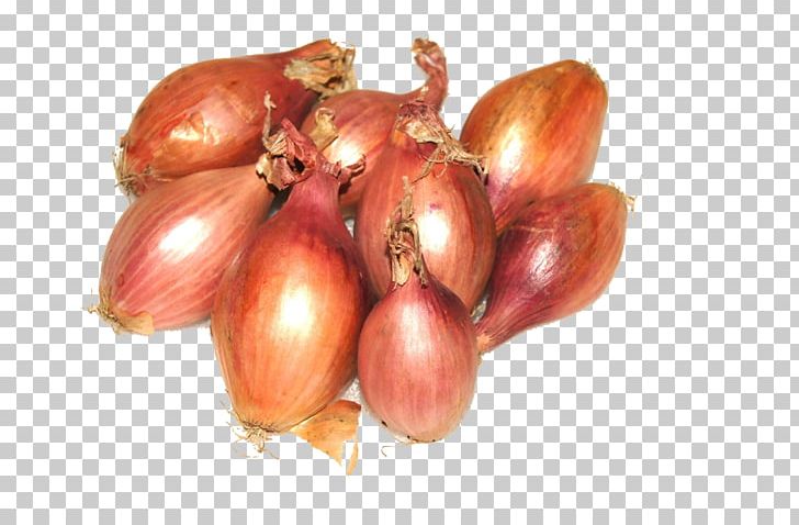 Shallot Yellow Onion Natural Foods Red Onion PNG, Clipart, Food, Fruit, Local Food, Natural Foods, Onion Free PNG Download