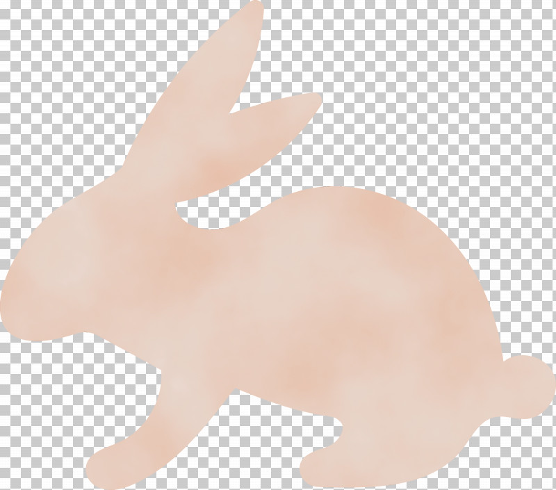 Hare Dog Snout Rabbit Tail PNG, Clipart, Biology, Dog, Hare, Paint, Rabbit Free PNG Download