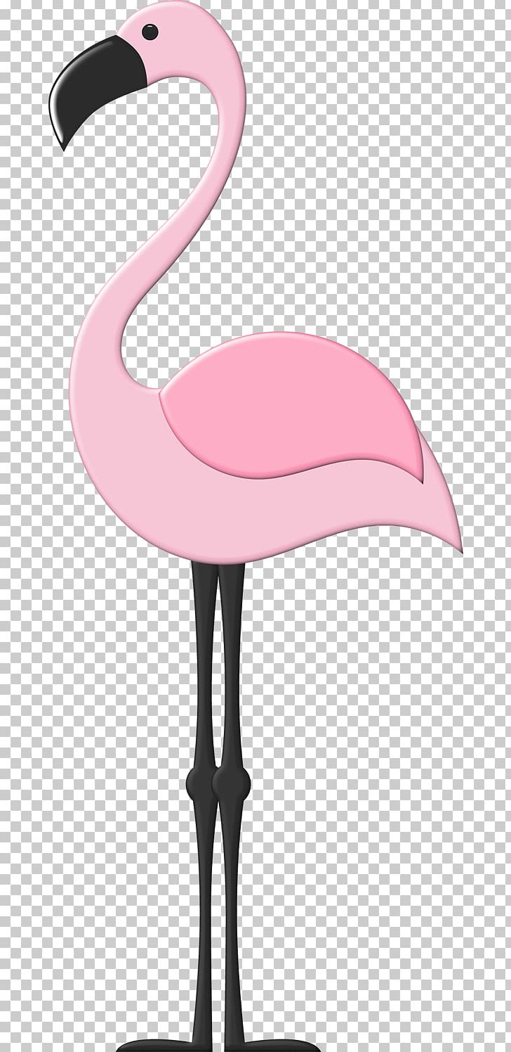 Flamingos Bird Paper Pin PNG, Clipart, Animals, Beak, Bird, Birthday, Clip Art Free PNG Download