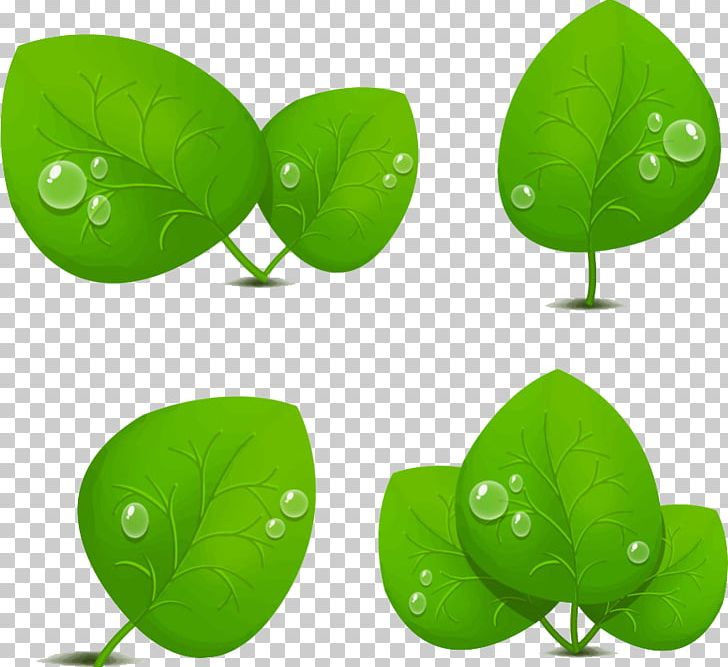 Leaf Green Light Drop PNG, Clipart, Backgroun, Bubble, Cartoon, Creative, Dew Free PNG Download