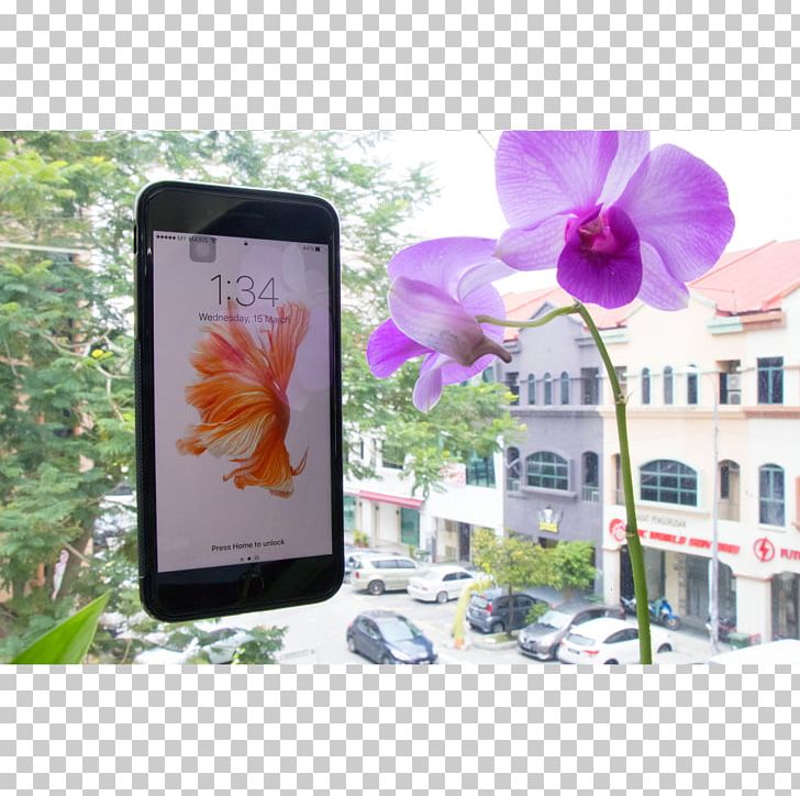 Purple Gadget Flower Cyan PNG, Clipart, Album Cover, Art, Cyan, Flora, Flower Free PNG Download