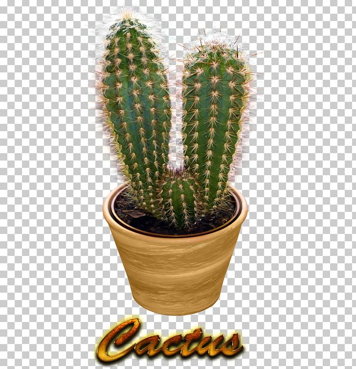 San Pedro Cactus Prickly Pear Triangle Cactus Cactus/ Cactus PNG, Clipart, Acanthocereus, Acanthocereus Tetragonus, Cactus, Cactus Cactus, Caryophyllales Free PNG Download