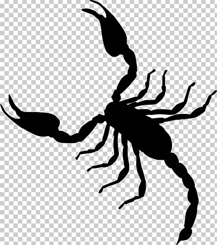 Scorpion Graphics Illustration PNG, Clipart, Arthropod, Artwork, Black And White, Depositphotos, Drawing Free PNG Download