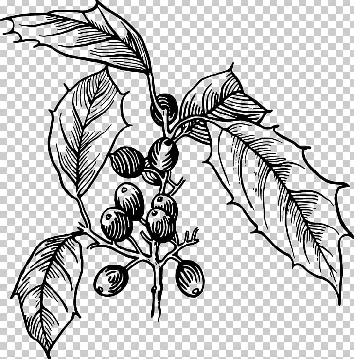 Tree Drawing PNG, Clipart, Artwork, Black And White, Branch, Domain, Drawing Free PNG Download