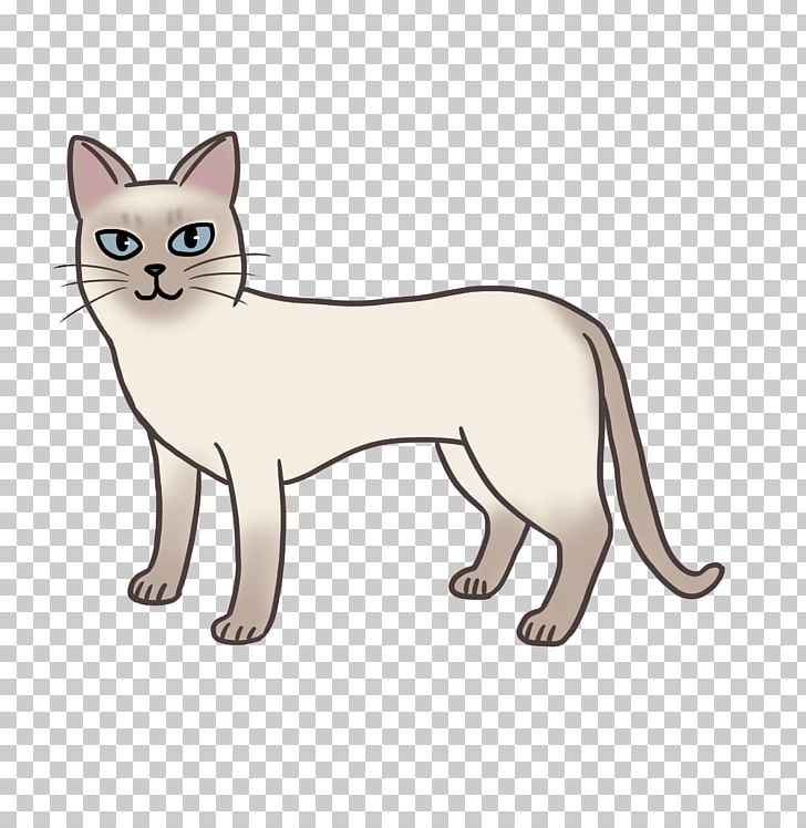 Whiskers Burmese Cat Kitten Domestic Short-haired Cat Wildcat PNG, Clipart, Animal, Animal Figure, Animals, Asian, Burmese Free PNG Download