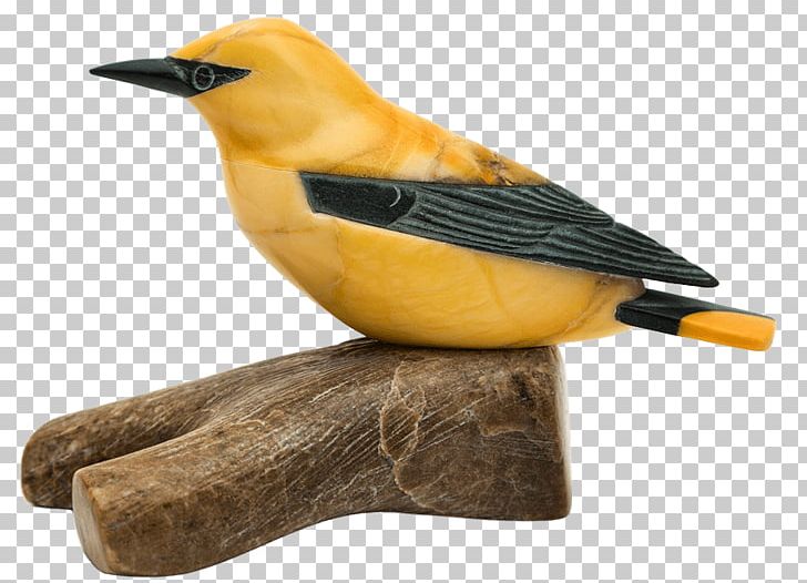 Beak PNG, Clipart, Beak, Bird, Figurine, Oriole, Others Free PNG Download