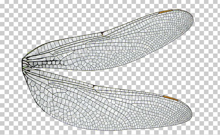 Dragonfly Insect Wing PNG, Clipart, Angle, Chicken, Computer Monitors, Display Device, Dragonfly Free PNG Download