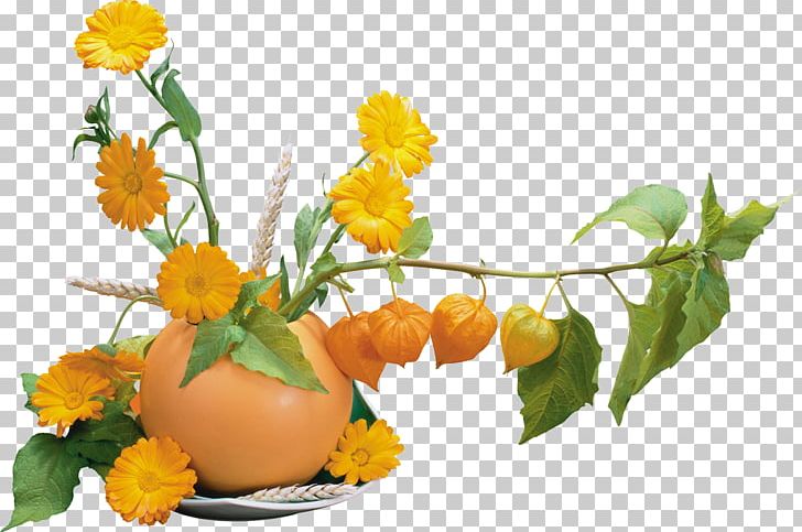 Flower Bouquet Drawing Animation PNG, Clipart, Animation, Calendula, Cut Flowers, Desktop Wallpaper, Drawing Free PNG Download