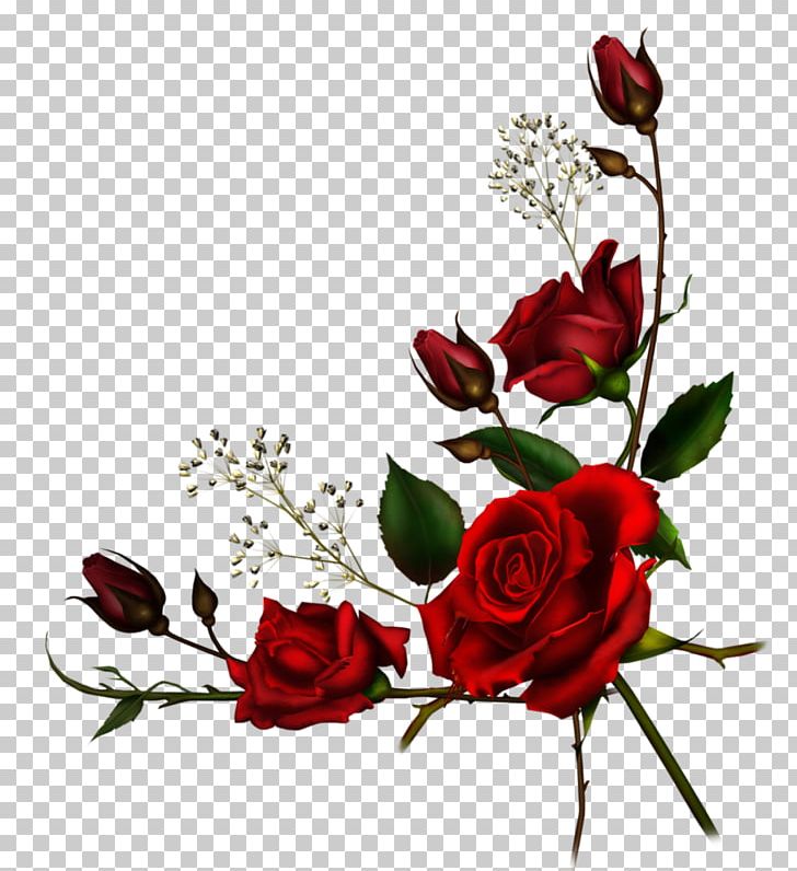 Garden Roses Flower PNG, Clipart, Artificial Flower, Branch, Cut Flowers, Eid Mubarak, Flower Arranging Free PNG Download