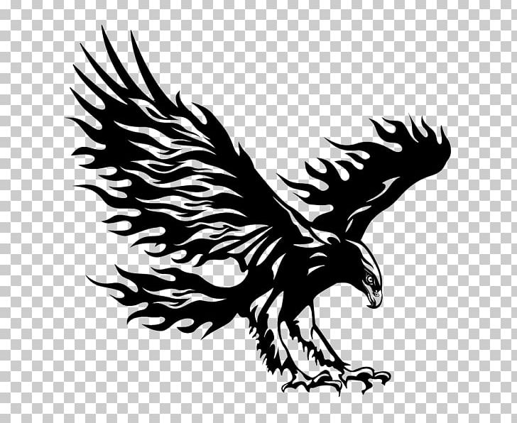 Wall Decal Bumper Sticker PNG, Clipart, Bald Eagle, Beak, Bird, Bird Of Prey, Black And White Free PNG Download