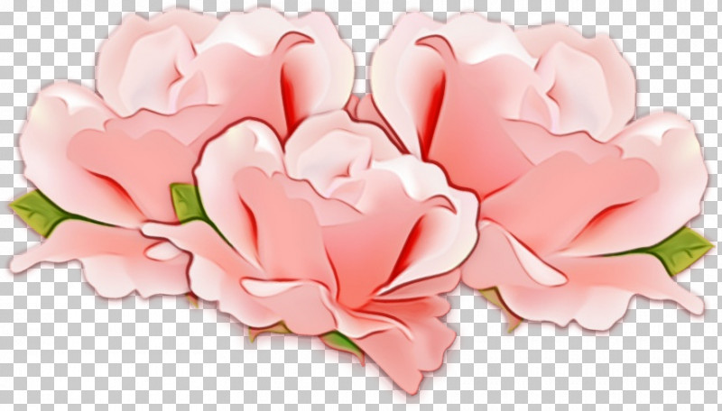 Garden Roses PNG, Clipart, Artificial Flower, Chinese Peony, Common Peony, Cut Flowers, Flower Free PNG Download