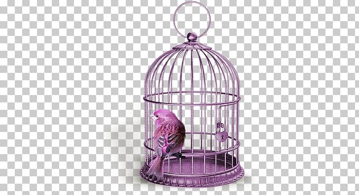 Birdcage Stock Photography PNG, Clipart, Animals, Bird, Birdcage, Cage, Depositphotos Free PNG Download
