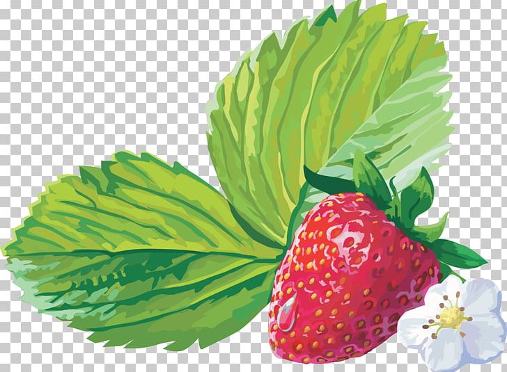 Musk Strawberry Fruit PNG, Clipart, Berry, Computer Icons, Food, Food Drinks, Fragaria Free PNG Download