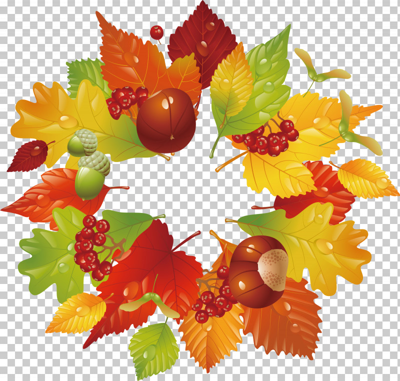 Plane PNG, Clipart, Autumn, Flower, Food, Fruit, Grape Leaves Free PNG Download