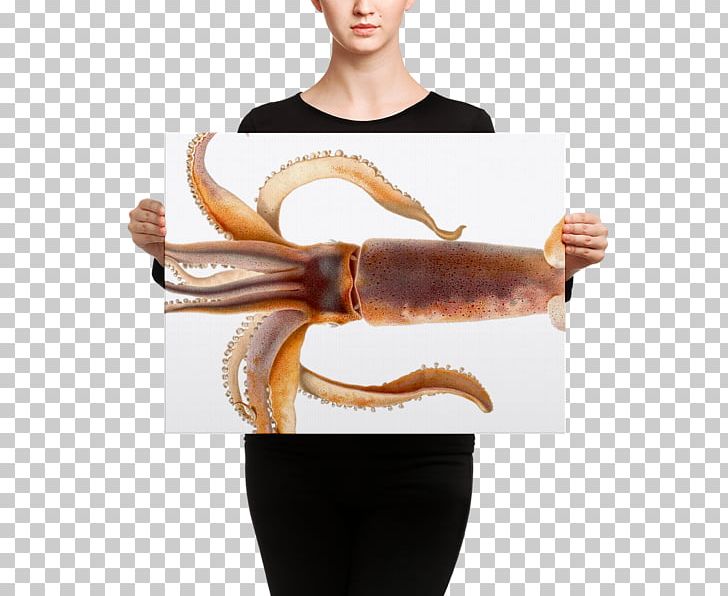 Colossal Squid Cephalopod Octopus The Dream Of The Fisherman's Wife PNG, Clipart,  Free PNG Download