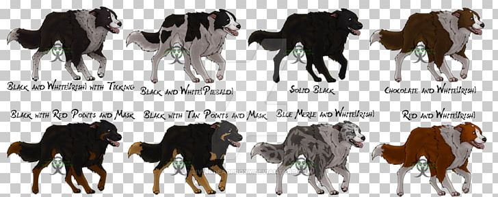 The Border Collie Rough Collie German Shepherd PNG, Clipart, Animals, Border, Border Collie, Camel Like Mammal, Cat Free PNG Download