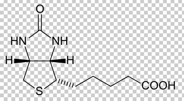 Biotinylation Dietary Supplement Avidin Chemistry PNG, Clipart, Angle, Avidin, B 7, B Complex, Biotin Free PNG Download