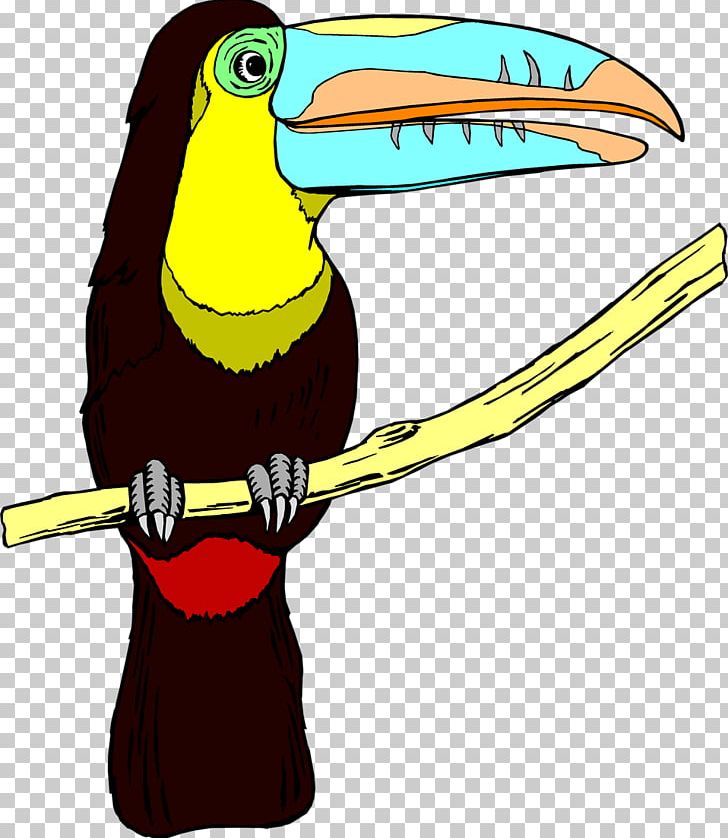 Bird Toucan Desktop PNG, Clipart, Animals, Beak, Bird, Desktop Wallpaper, Fauna Free PNG Download
