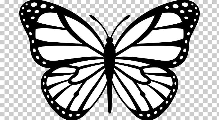 630+ Free Download Butterfly Tattoo Png HD Tattoo Photos