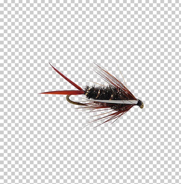 Emergers Artificial Fly Nymph Insect Fly Fishing PNG, Clipart, Artificial Fly, Chart, Discounts And Allowances, Email, Fishing Bait Free PNG Download