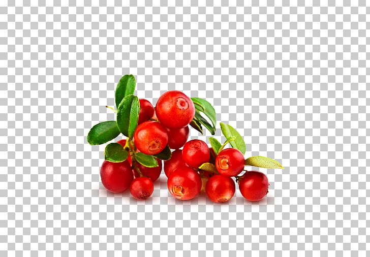 Juice Fruit Orange Cranberry Flavor PNG, Clipart, Acerola Family, Berry, Buffaloberries, Cherry, Currant Free PNG Download