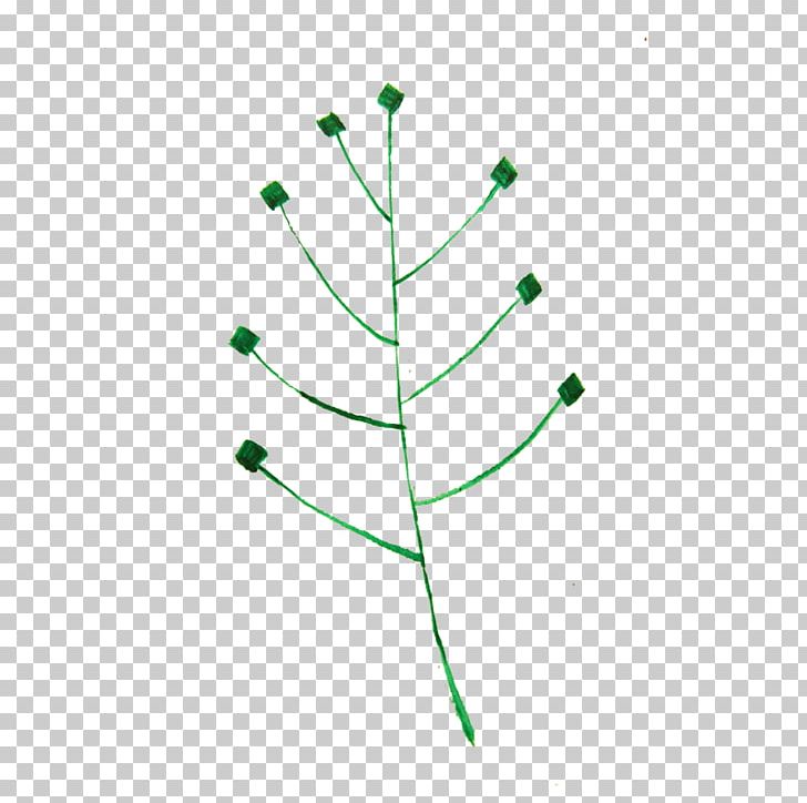 Leaf Circle Plant Stem Angle PNG, Clipart, Angle, Circle, Grass, Green, Leaf Free PNG Download