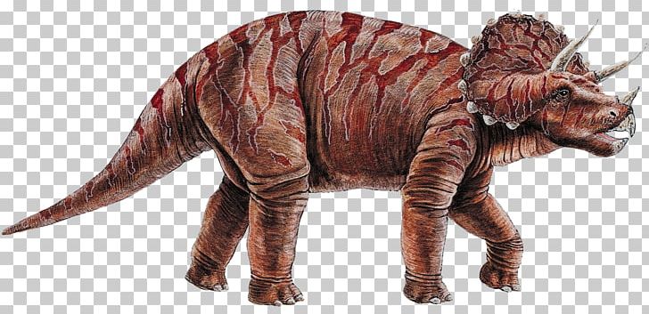Triceratops Dinosaurs PNG, Clipart, Animal Figure, Animals, Book, Cart, Dinosaur Egg Free PNG Download