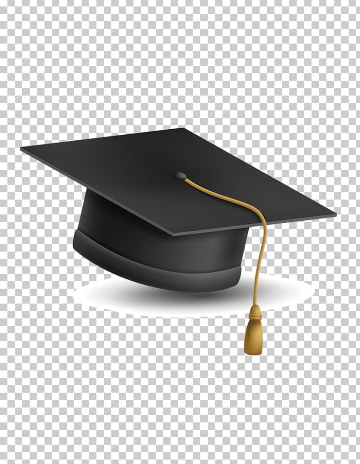 Graduation Hat and Bachelor Certificates Cartoon Vector Icon Illustration Pin