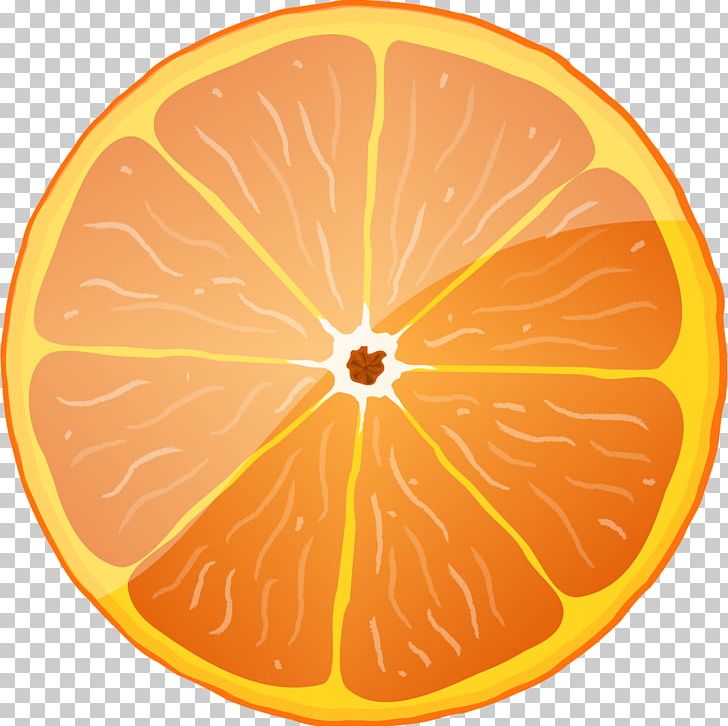 Blood Orange PNG, Clipart, Animation, Bitter Orange, Blood Orange, Cartoon, Circle Free PNG Download