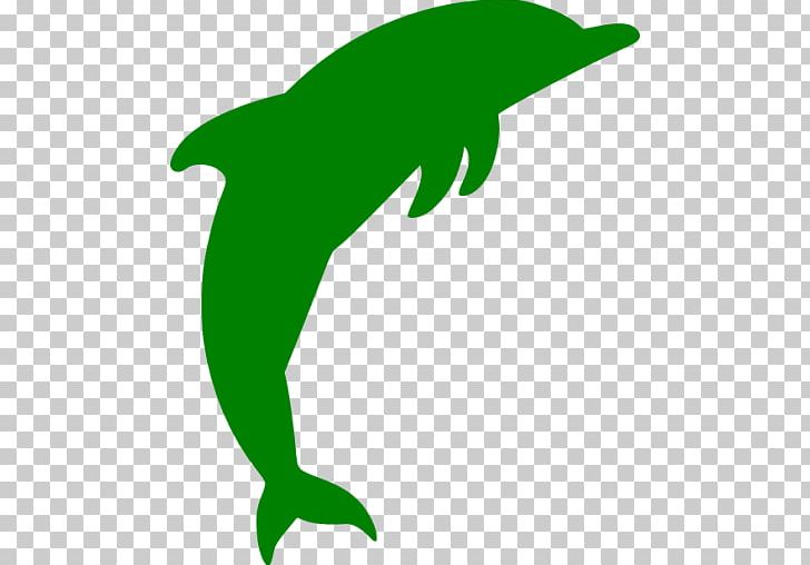 Tucuxi Common Bottlenose Dolphin Rough-toothed Dolphin Wholphin PNG, Clipart,  Free PNG Download