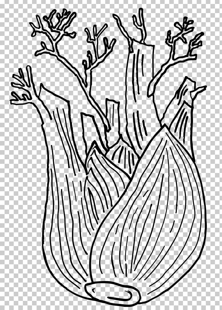 Fennel Plant Drawing Carrot Vegetable PNG, Clipart, Black And White, Carrot, Color, Coloriage, Coloring Book Free PNG Download