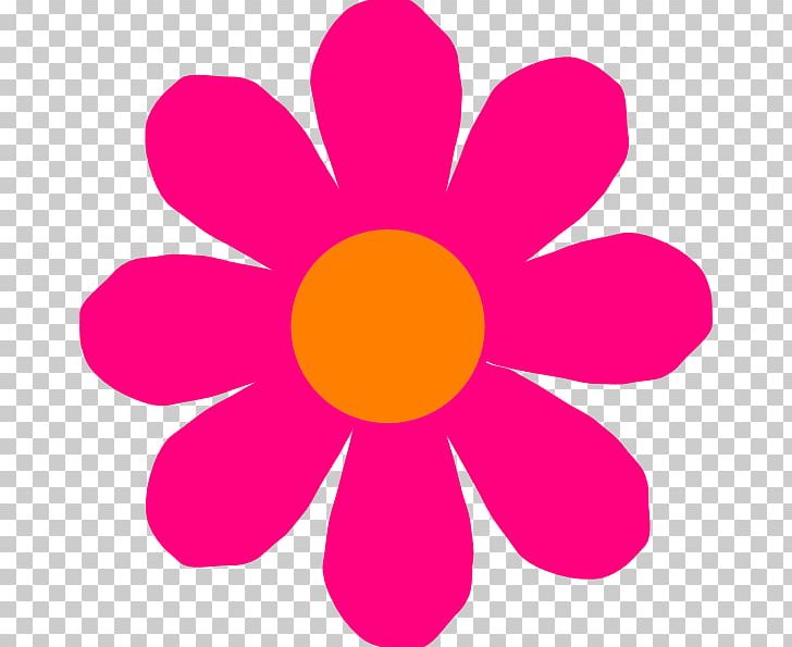 Flower Color PNG, Clipart, Circle, Color, Dahlia, Download, Drawing Free PNG Download