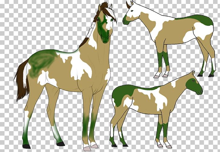 Foal Mustang Stallion Colt Mare PNG, Clipart,  Free PNG Download