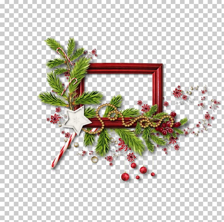 Garland Frames PNG, Clipart, Aquifoliaceae, Aquifoliales, Christmas, Christmas Decoration, Christmas Ornament Free PNG Download