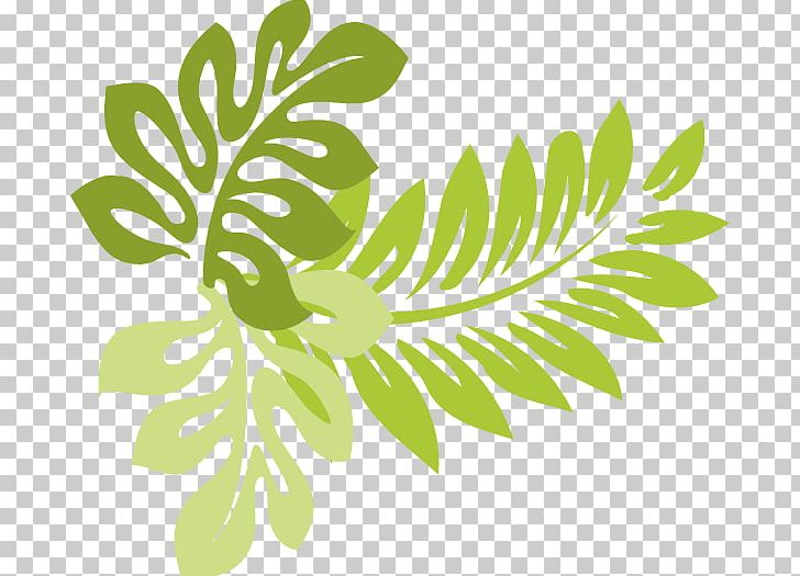 Hawaii Leaf PNG, Clipart, Black And White, Branch, Buckeye, Buckeye Leaf Cliparts, Clip Art Free PNG Download