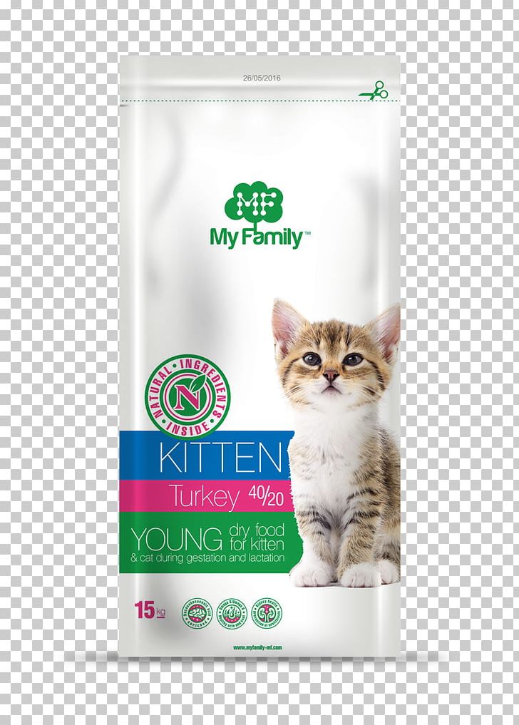 Kitten Whiskers Product PNG, Clipart, Animals, Carnivoran, Cat, Cat Like Mammal, Cosmetics Decoration Free PNG Download