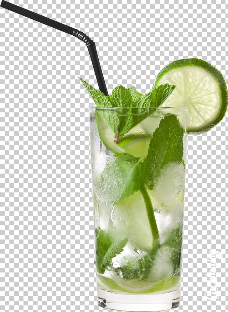 Mojito Cocktail Juice Fizzy Drinks Beer PNG, Clipart, Caipiroska, Carbonated Water, Cocktail Garnish, Drink, Food Free PNG Download