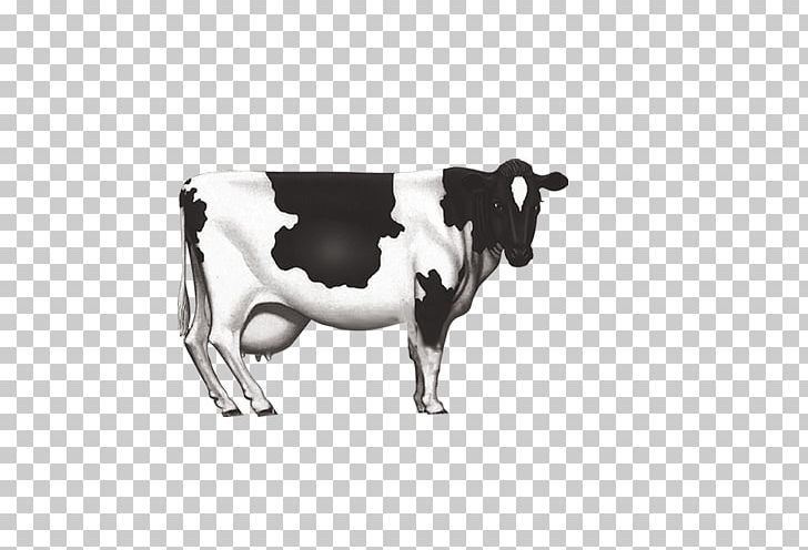 Dairy Cattle Milk Ox PNG, Clipart, Animals, Black And White, Bull, Cattle, Cattle Like Mammal Free PNG Download