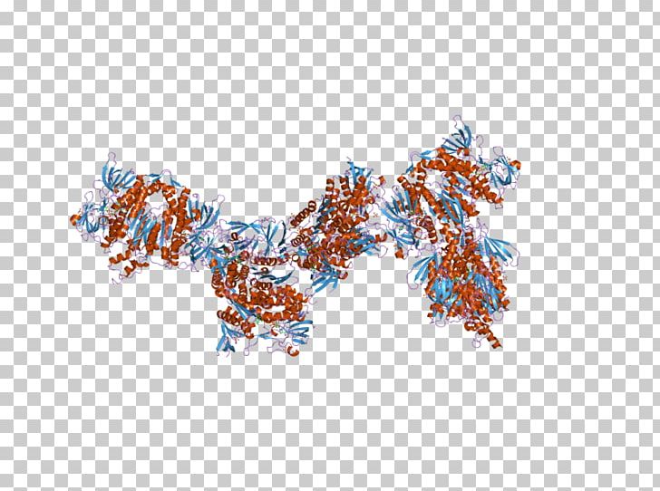 Dihydrolipoamide Dehydrogenase Enzyme Gene PNG, Clipart, 2 F, Bind, Body Jewelry, Dehydrogenase, Dihydrolipoamide Free PNG Download