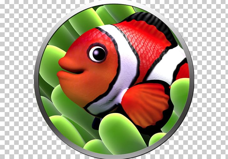 Fish Paradise Apple Mac App Store PNG, Clipart, Android, Apple, App Store, Computer Monitors, Fish Free PNG Download