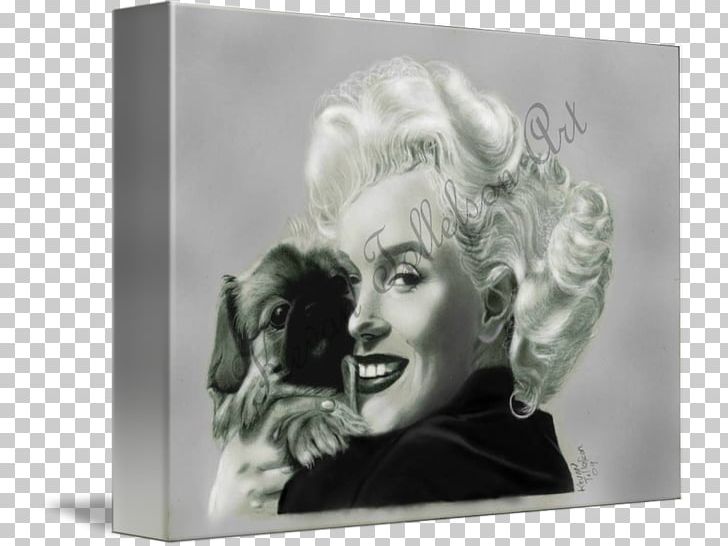 Marilyn Monroe Stock Photography Frames PNG, Clipart, Black And White, Celebrities, Celebrity, Digital Painting, Etsy Free PNG Download