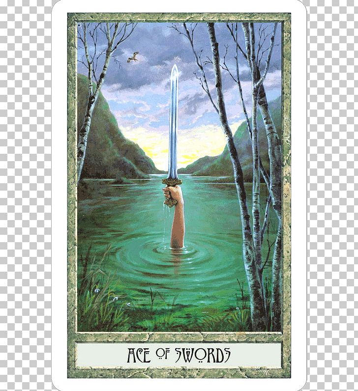 The Druid Craft Tarot Druidcraft Le Tarot Des Druides: Contient : 78 Cartes French Tarot PNG, Clipart, Ace Of Swords, Bayou, Cartomancy, Druid, Druidry Free PNG Download