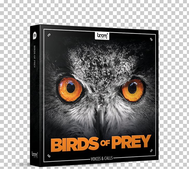 Bird Of Prey Owl Sound Effect PNG, Clipart, Animals, Bird, Bird Of Prey, Brand, Buteoninae Free PNG Download