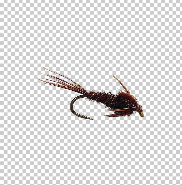Insect Artificial Fly PNG, Clipart, Animals, Artificial Fly, Gift, Gift Card, Insect Free PNG Download