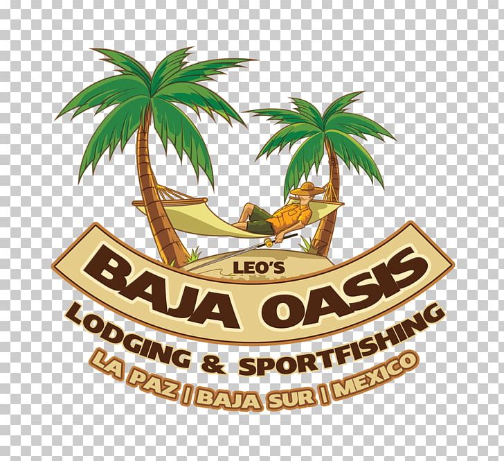 Leo's Baja Oasis Gulf Of California Sport Hotel Adventure PNG, Clipart,  Free PNG Download