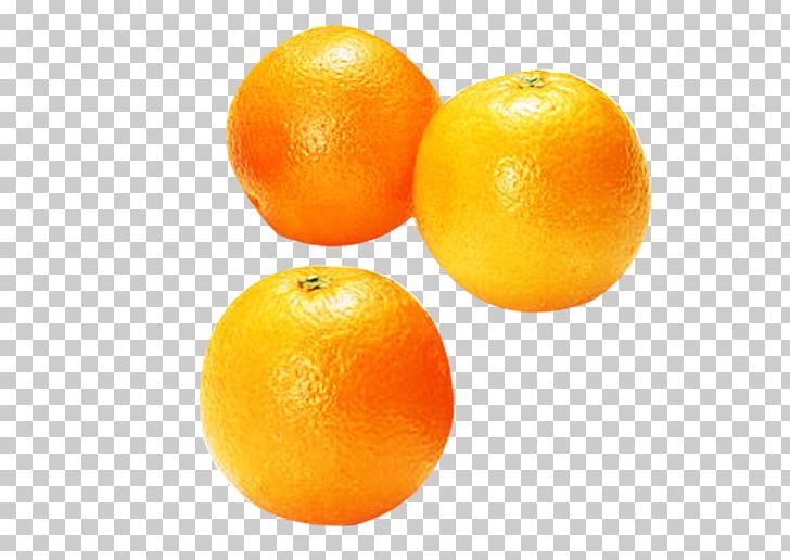Orange Juice Clementine Tangerine PNG, Clipart, Citric Acid, Citrus, Clementine, Food, Food Logo Free PNG Download